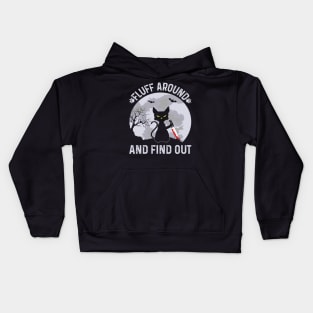 Fluff Around and Find Out Cat Owner Lover Cat Kids Hoodie